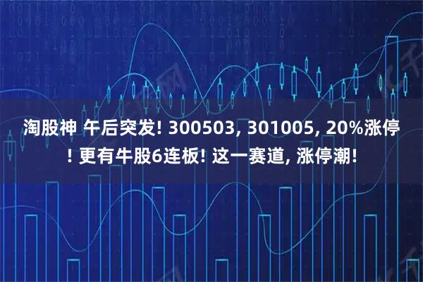 淘股神 午后突发! 300503, 301005, 20%涨停! 更有牛股6连板! 这一赛道, 涨停潮!