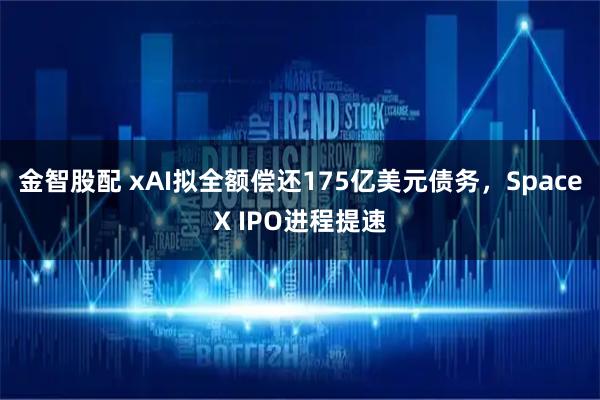 金智股配 xAI拟全额偿还175亿美元债务，SpaceX IPO进程提速